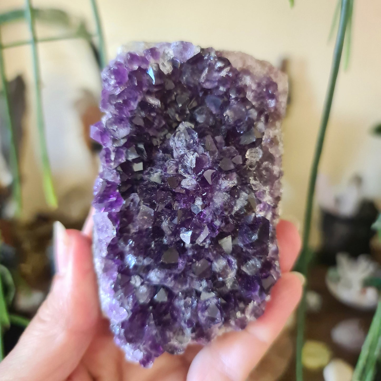 Amethyst Clusters High Grade