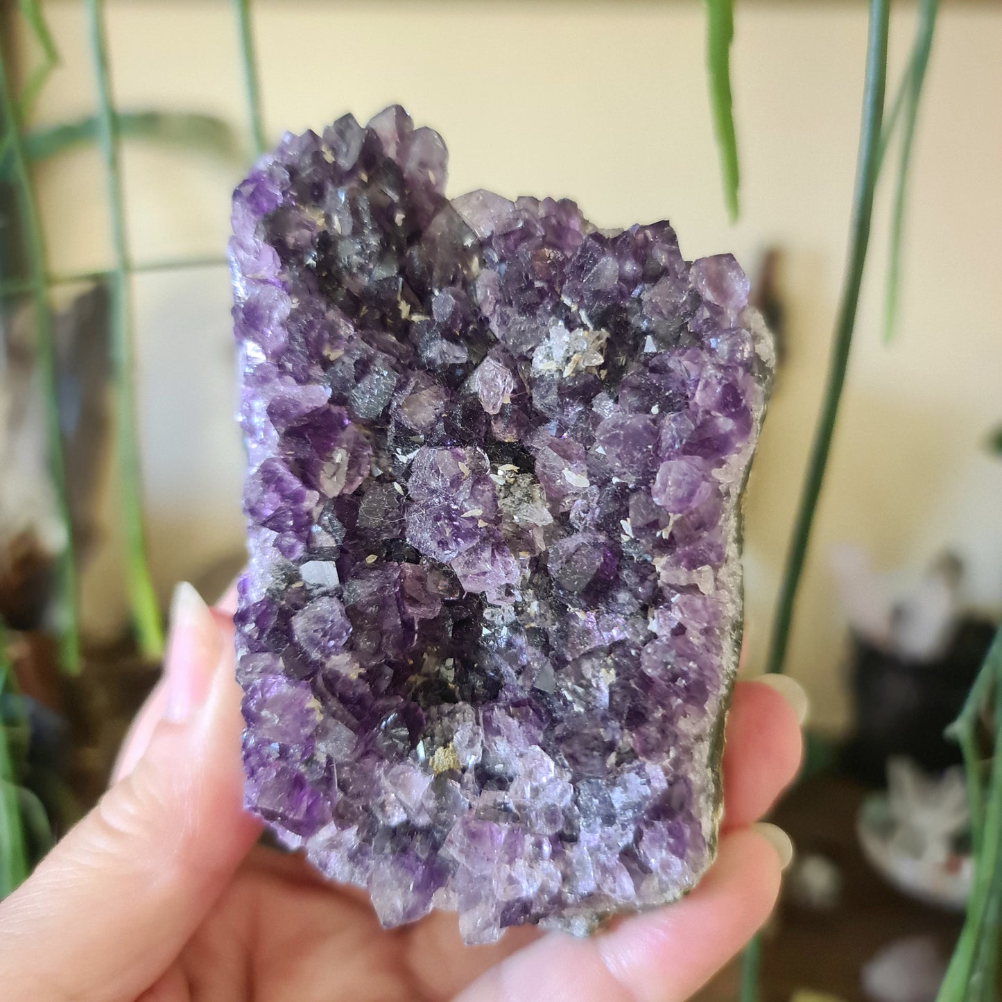 Amethyst Clusters High Grade