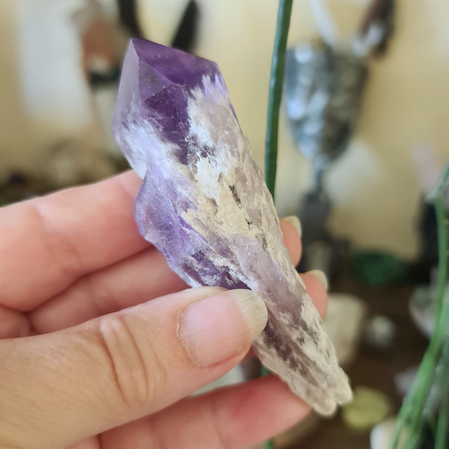 Dogtooth Amethyst