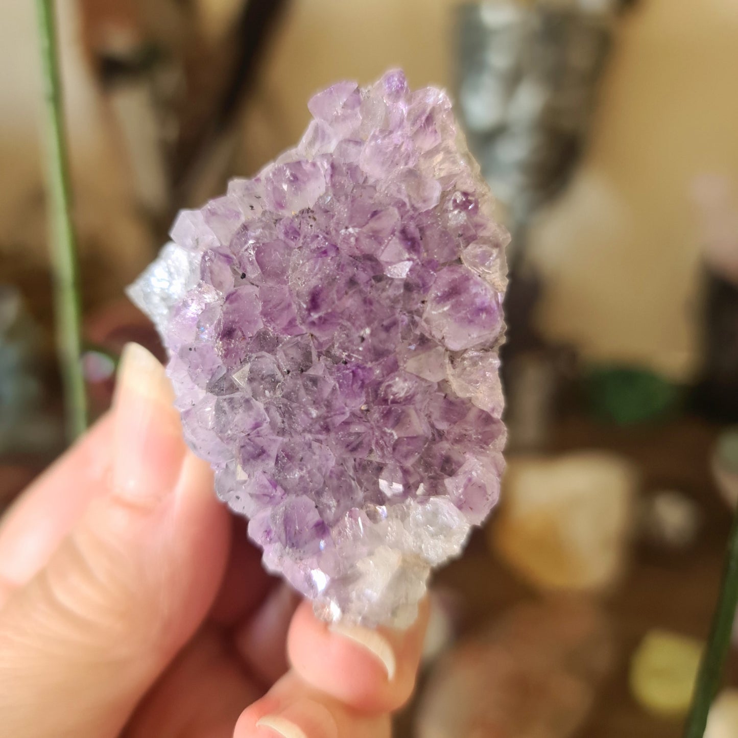 Amethyst Clusters
