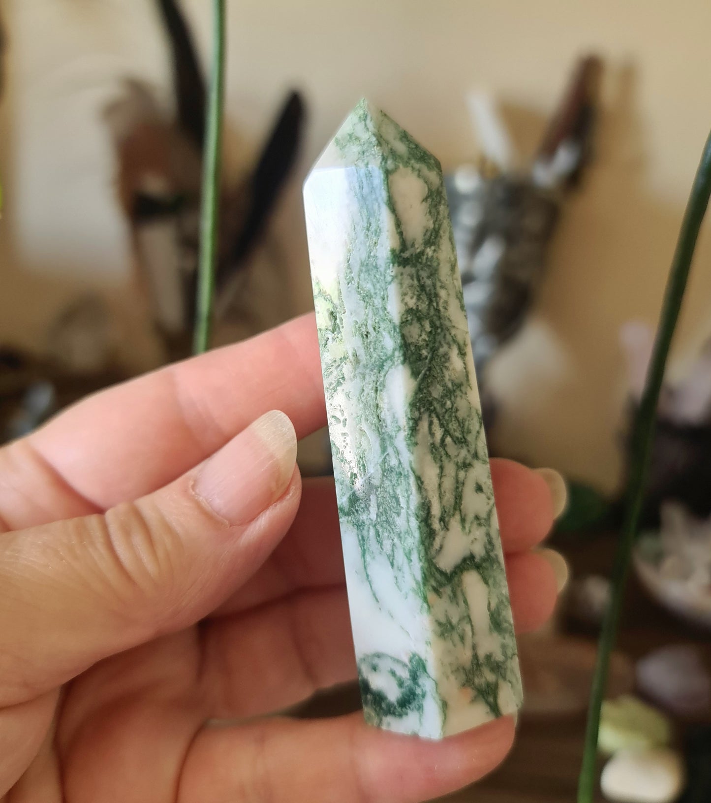 Tree Agate Point