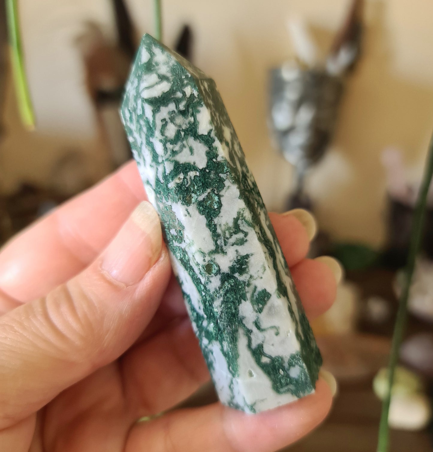 Tree Agate Point