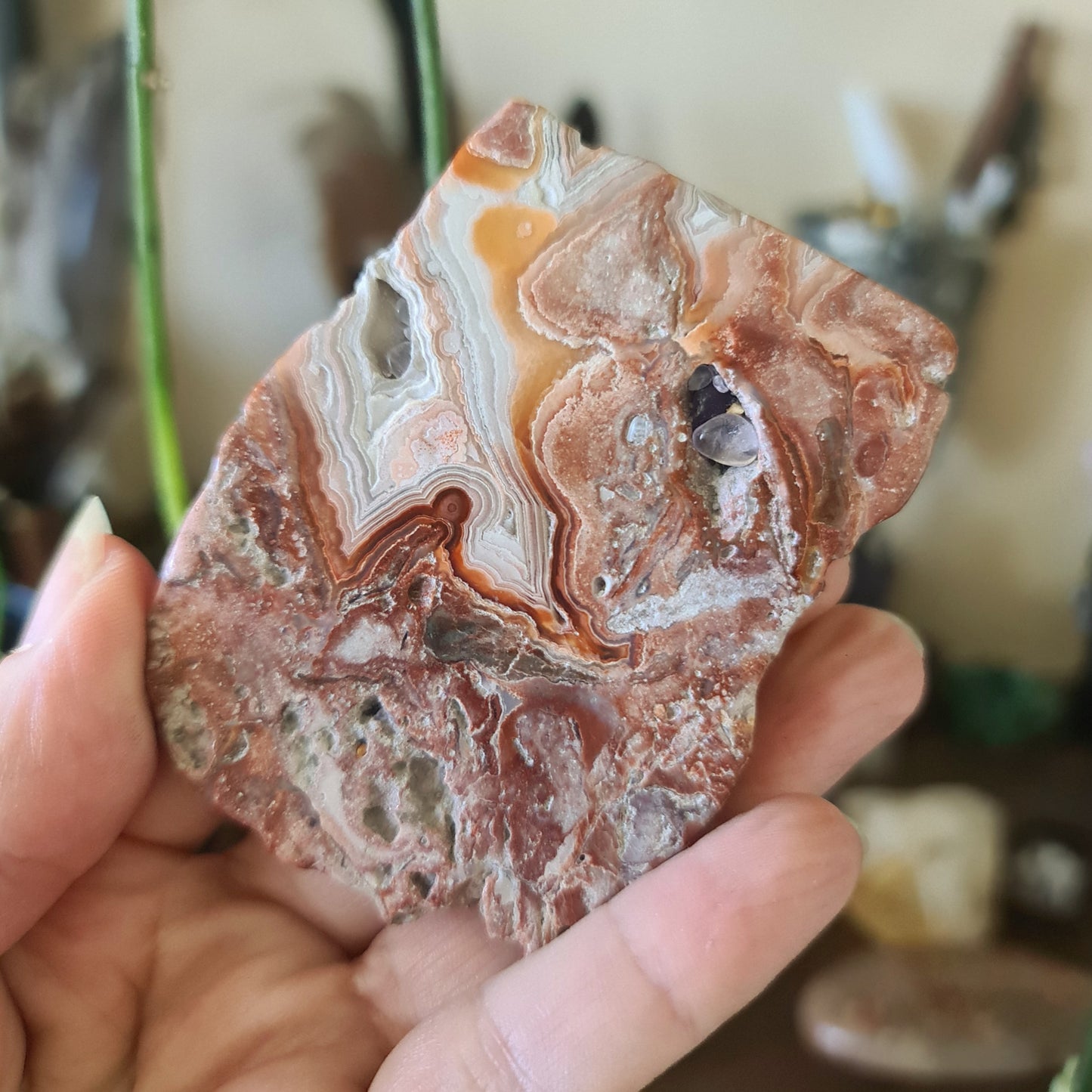 Mexican Lace Agate Slab