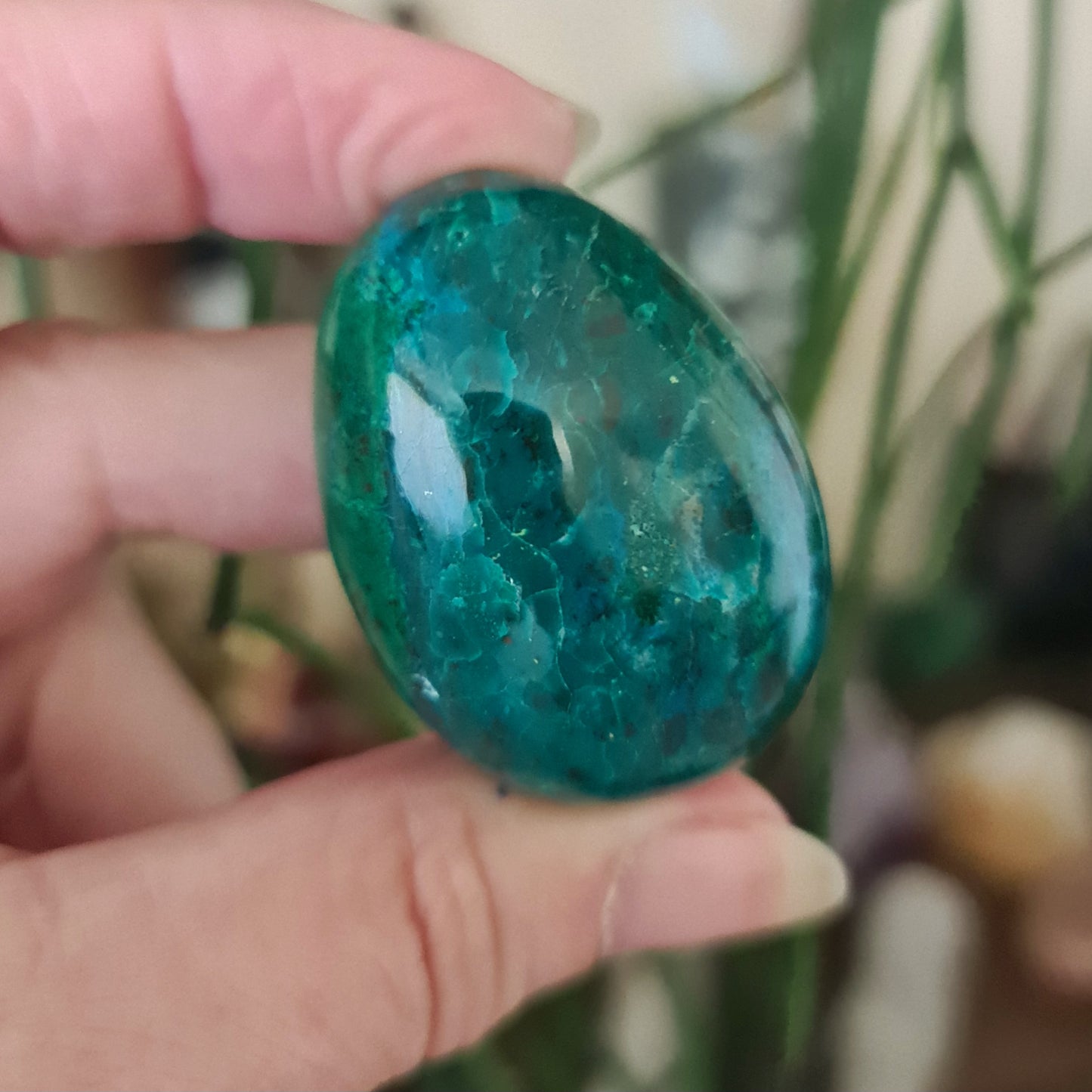 Chrysocolla Egg
