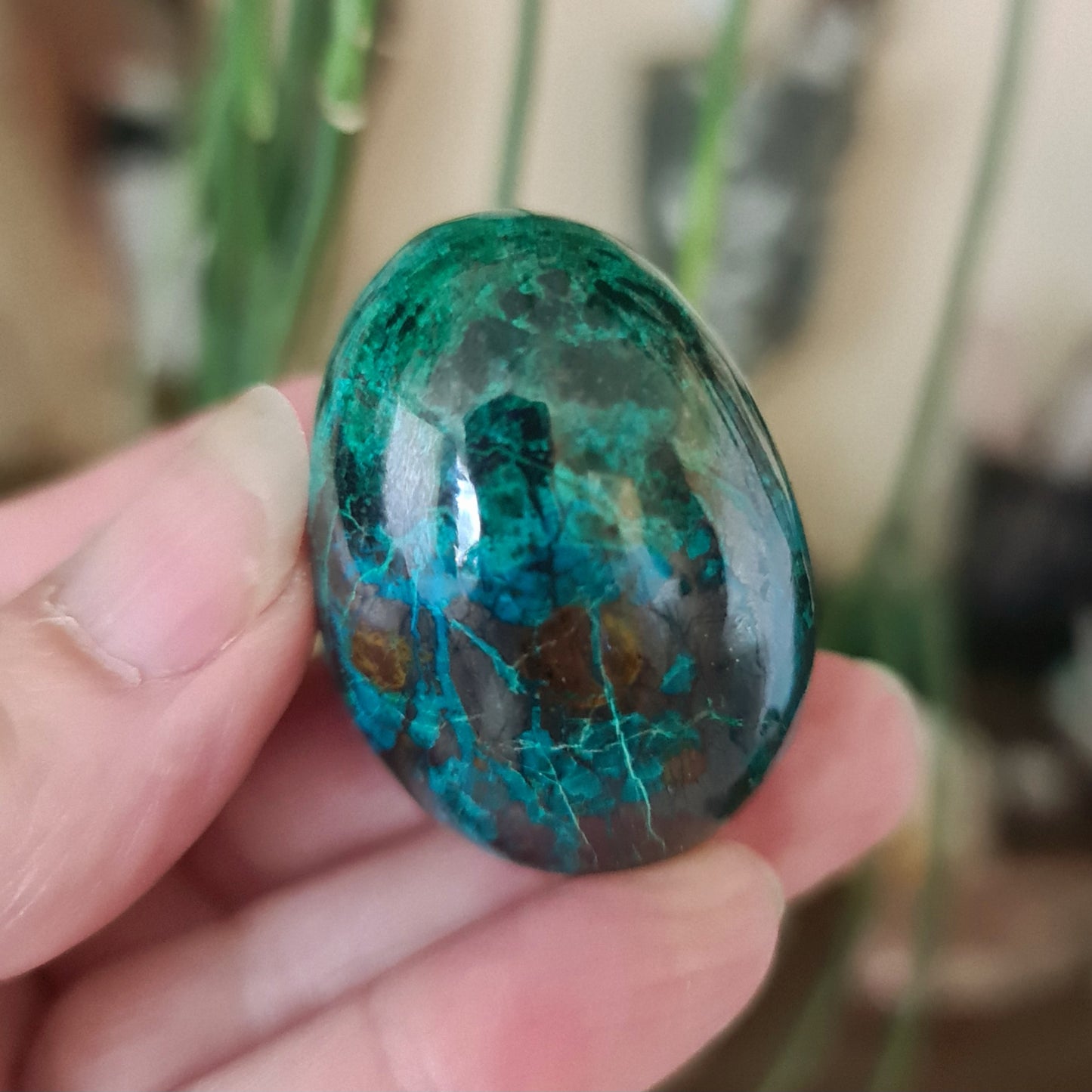 Chrysocolla Egg