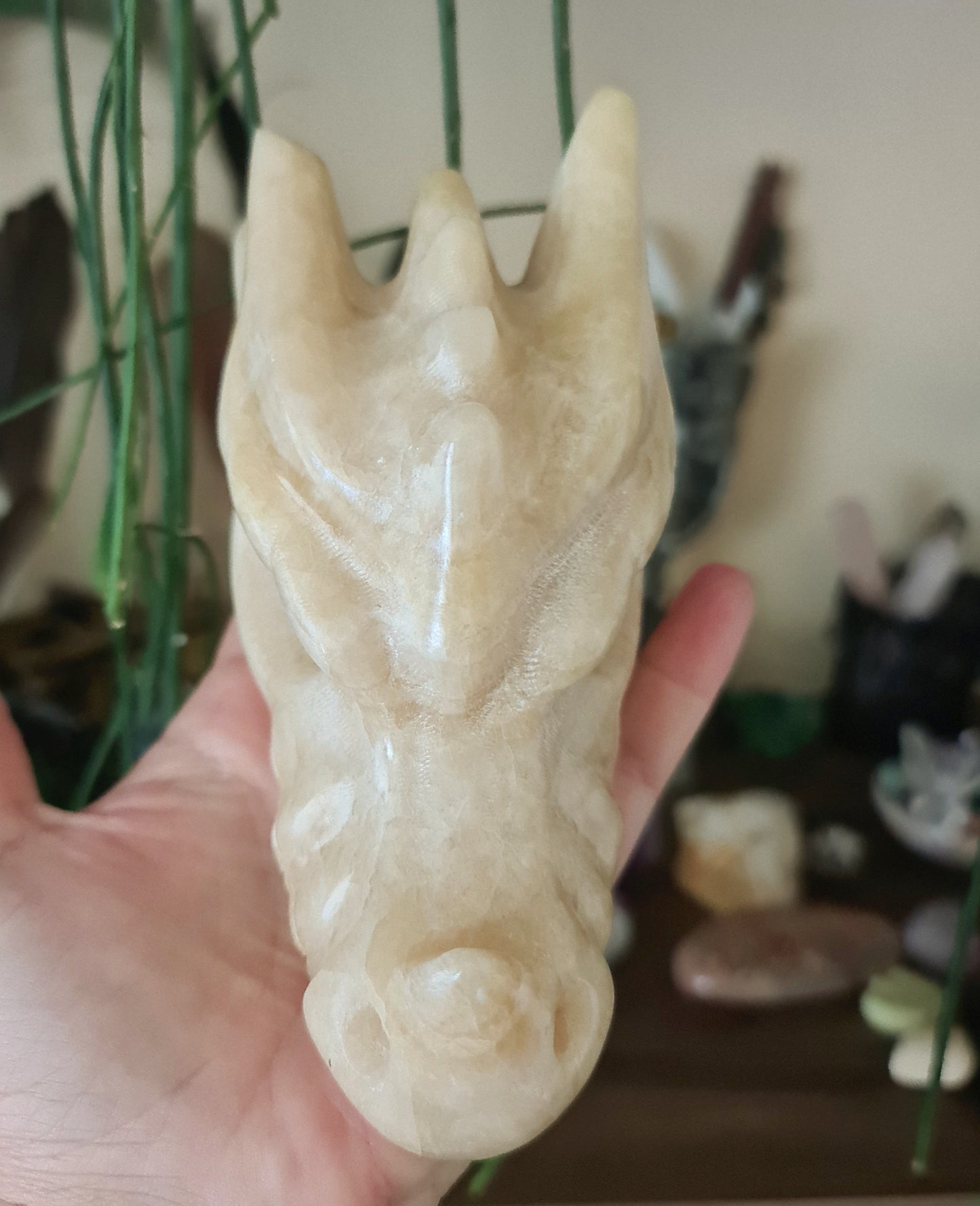 Calcite Dragon Head