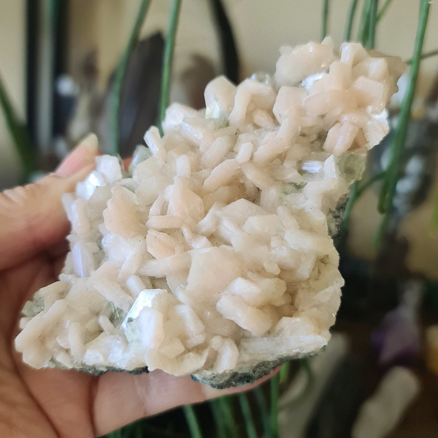 Apophyllite & Stilbite Cluster