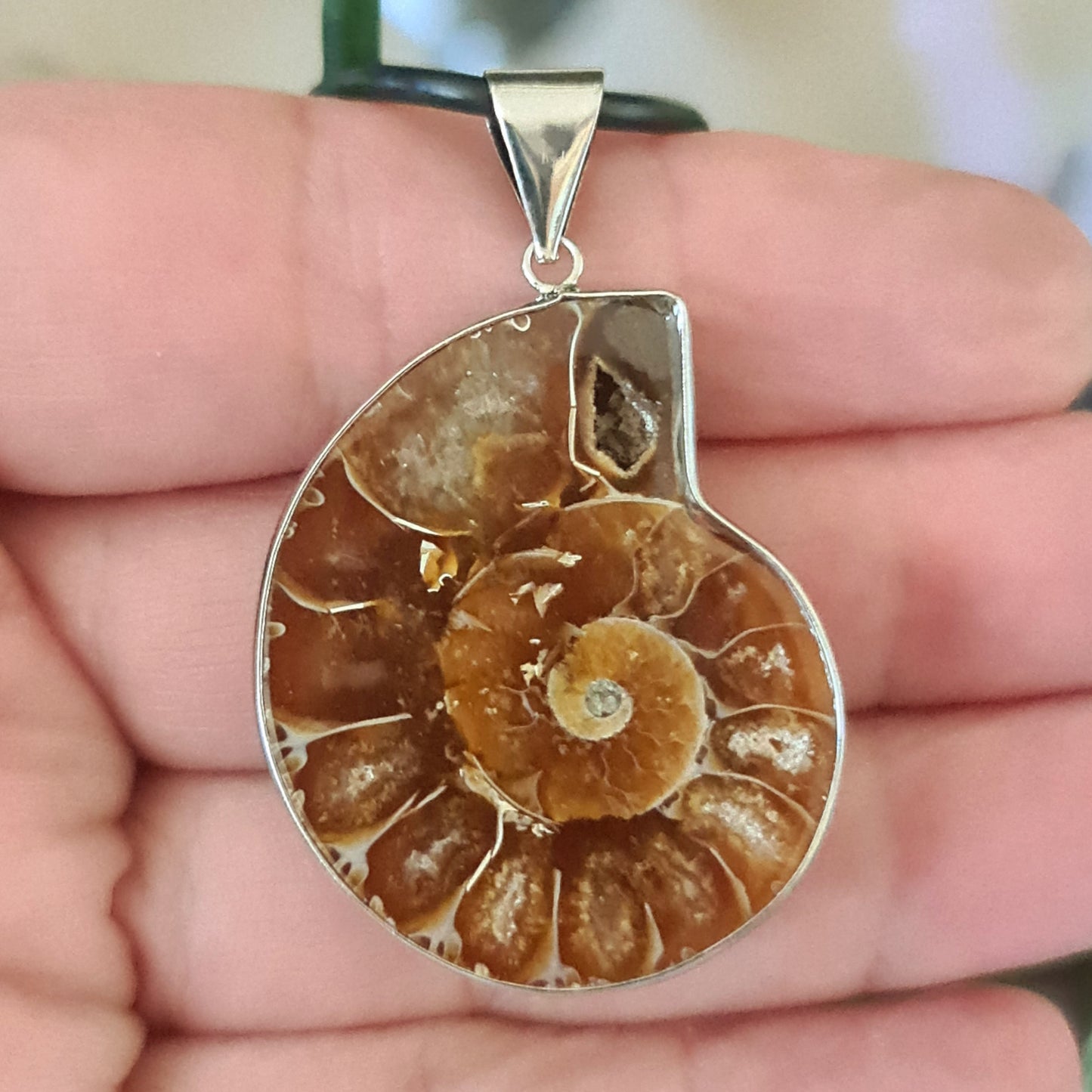 Ammonite Fossil Pendant