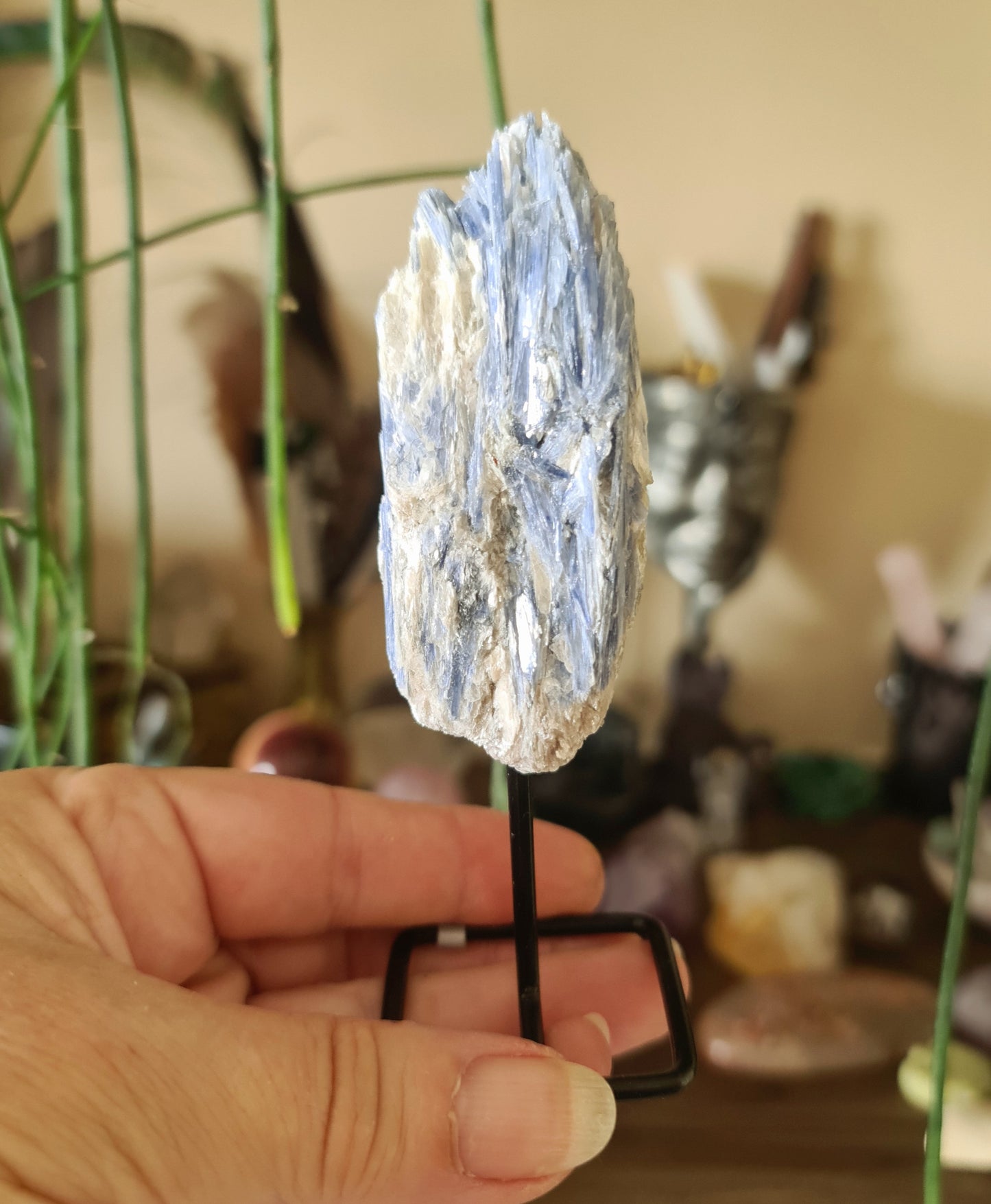 Blue Kyanite Pin - Mini