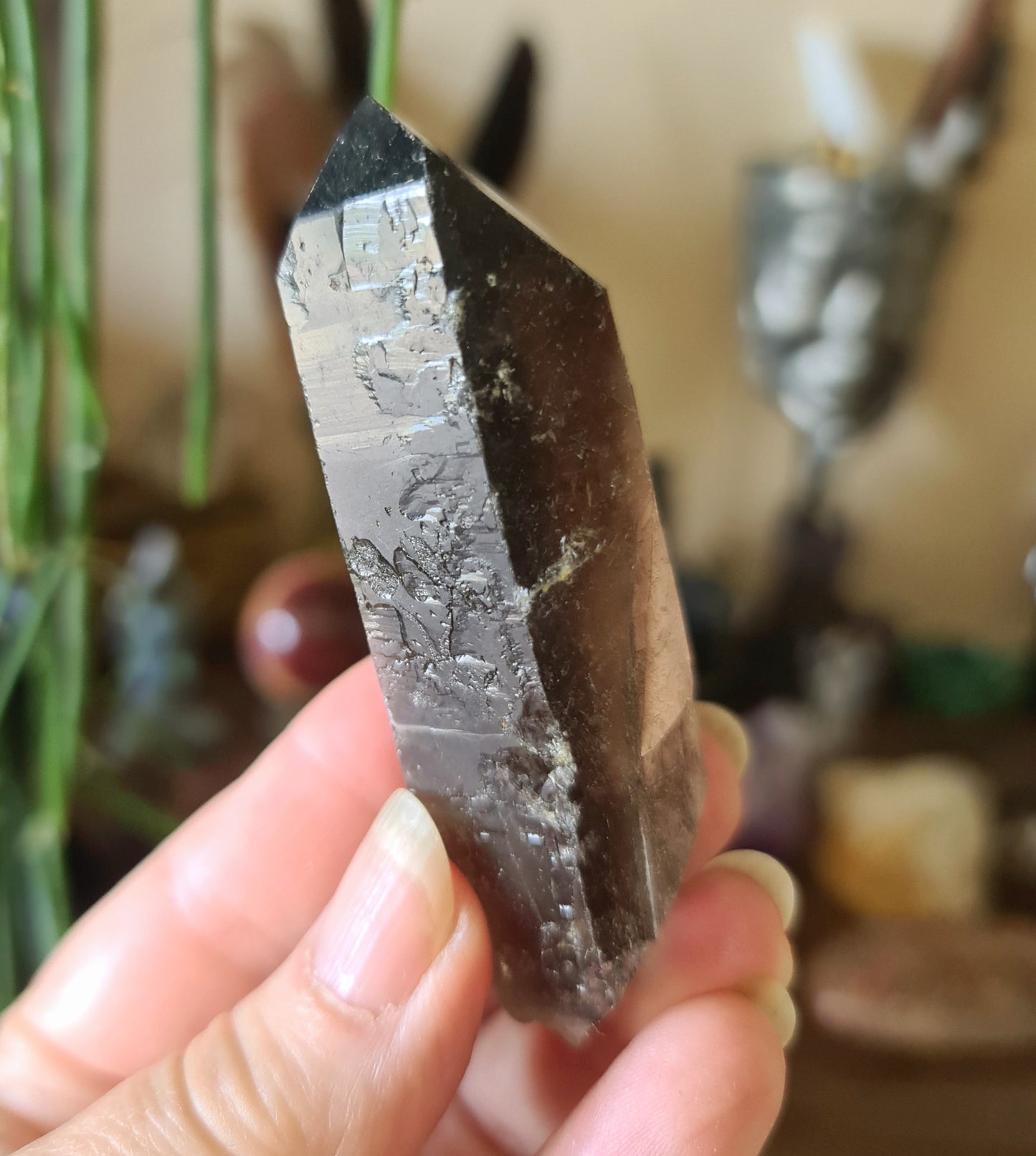 Smoky Quartz Points