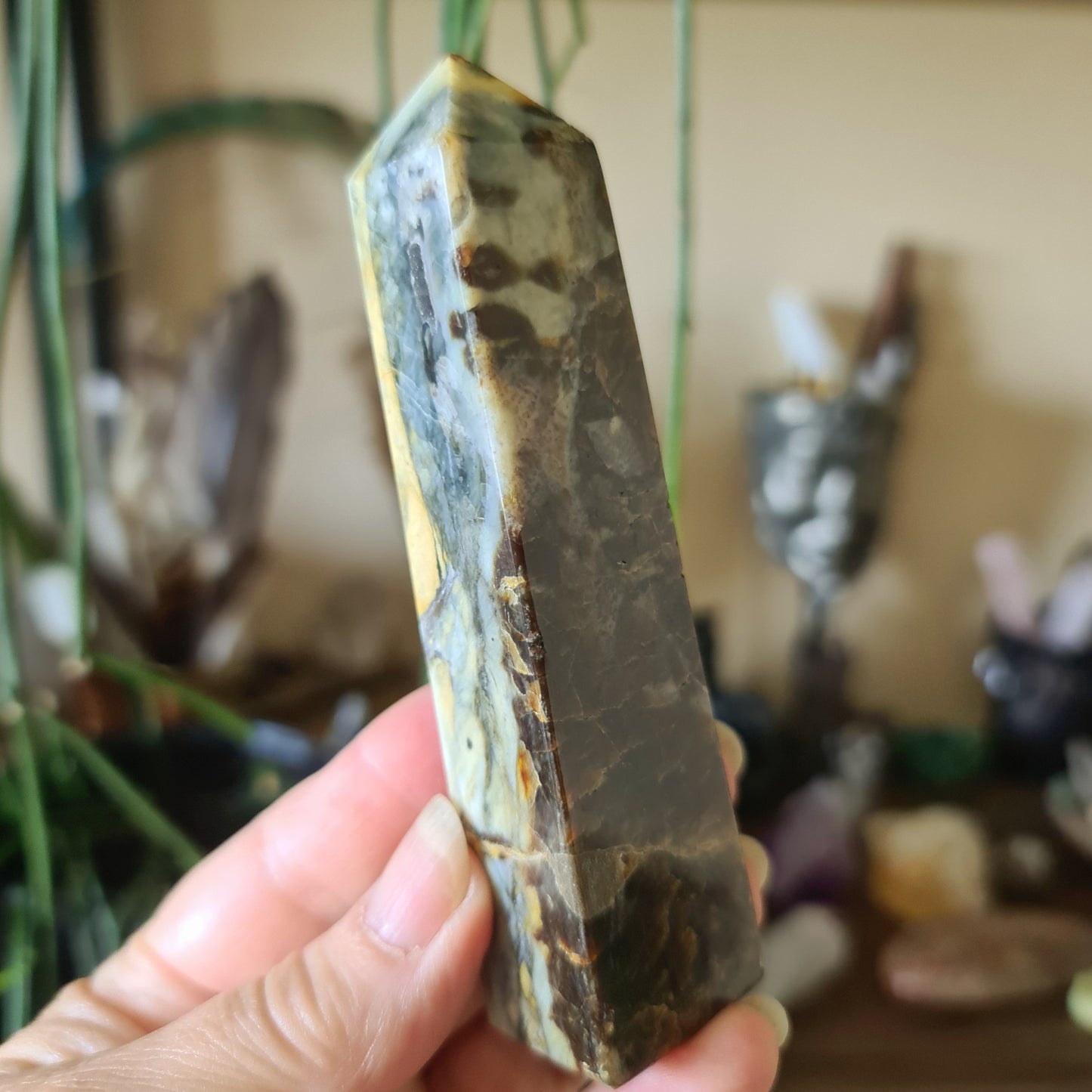 Blue Daud Jasper Points
