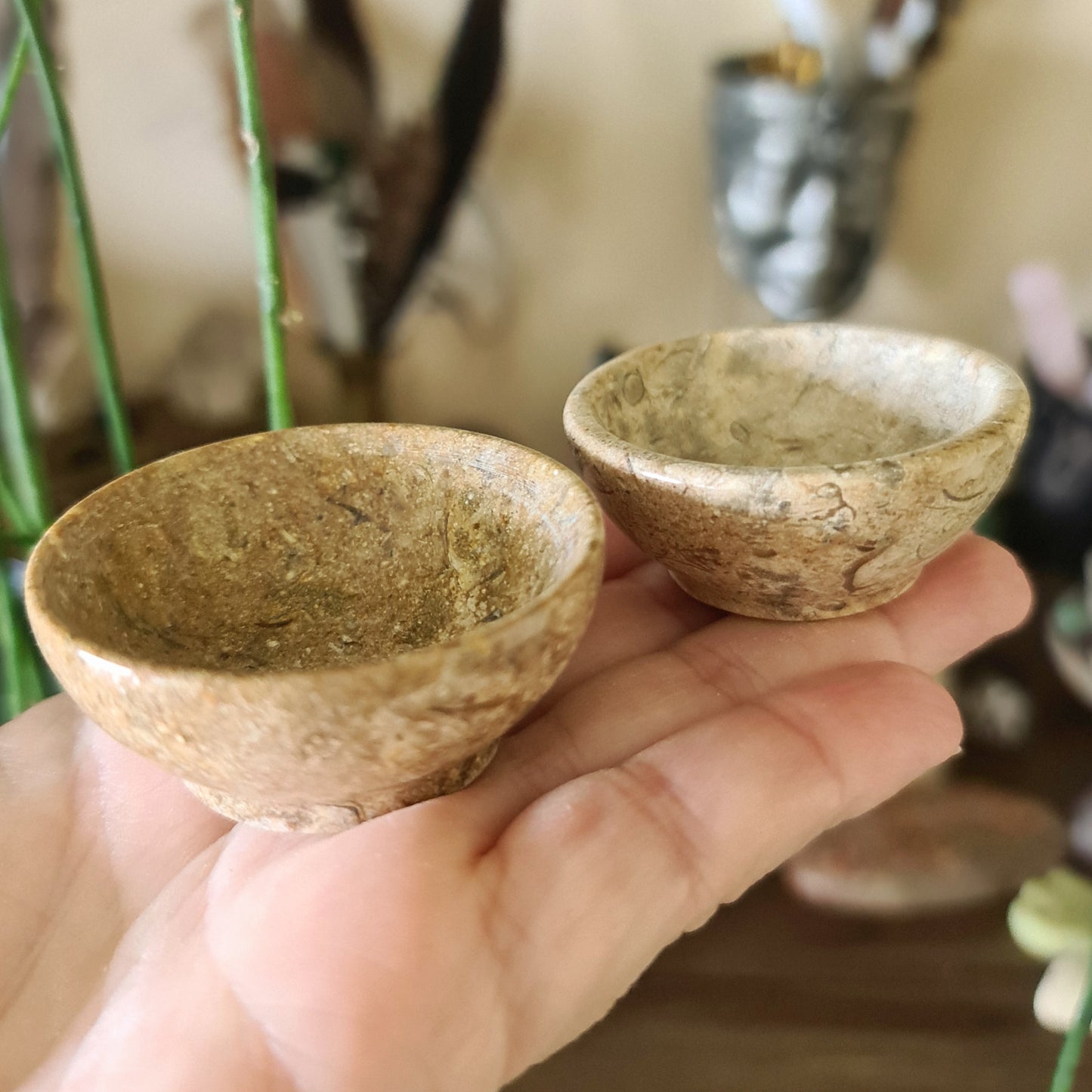 Fossil Coral Jasper Bowls