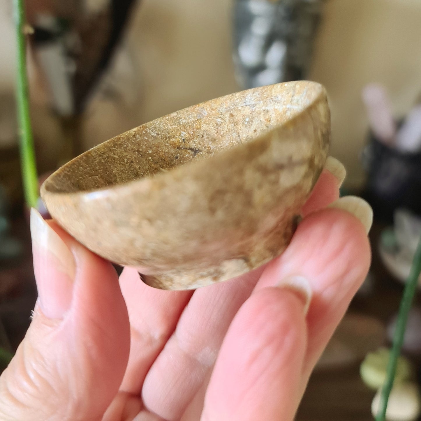 Fossil Coral Jasper Bowls
