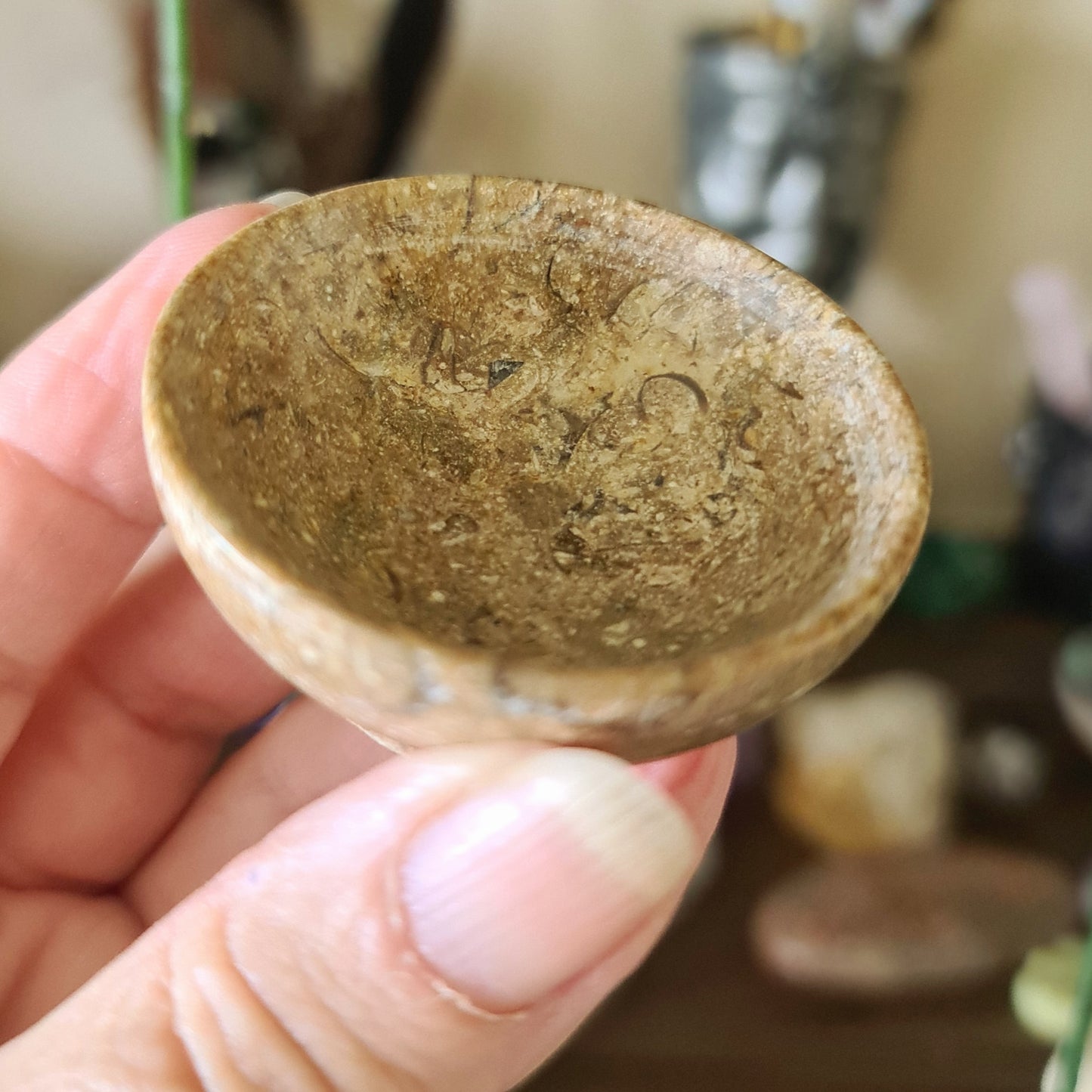 Fossil Coral Jasper Bowls