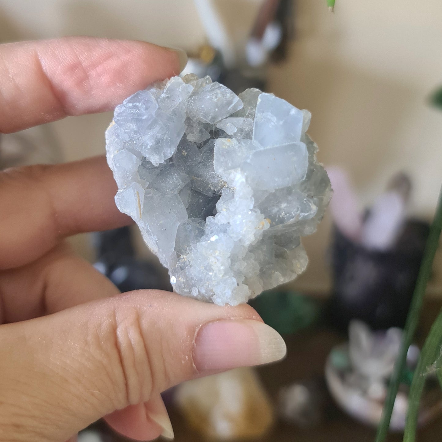 Blue Celestite Cluster