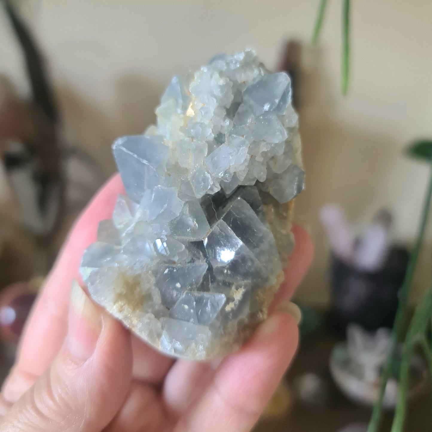 Blue Celestite Cluster