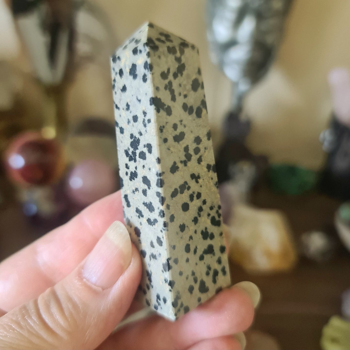Dalmatian Jasper Point