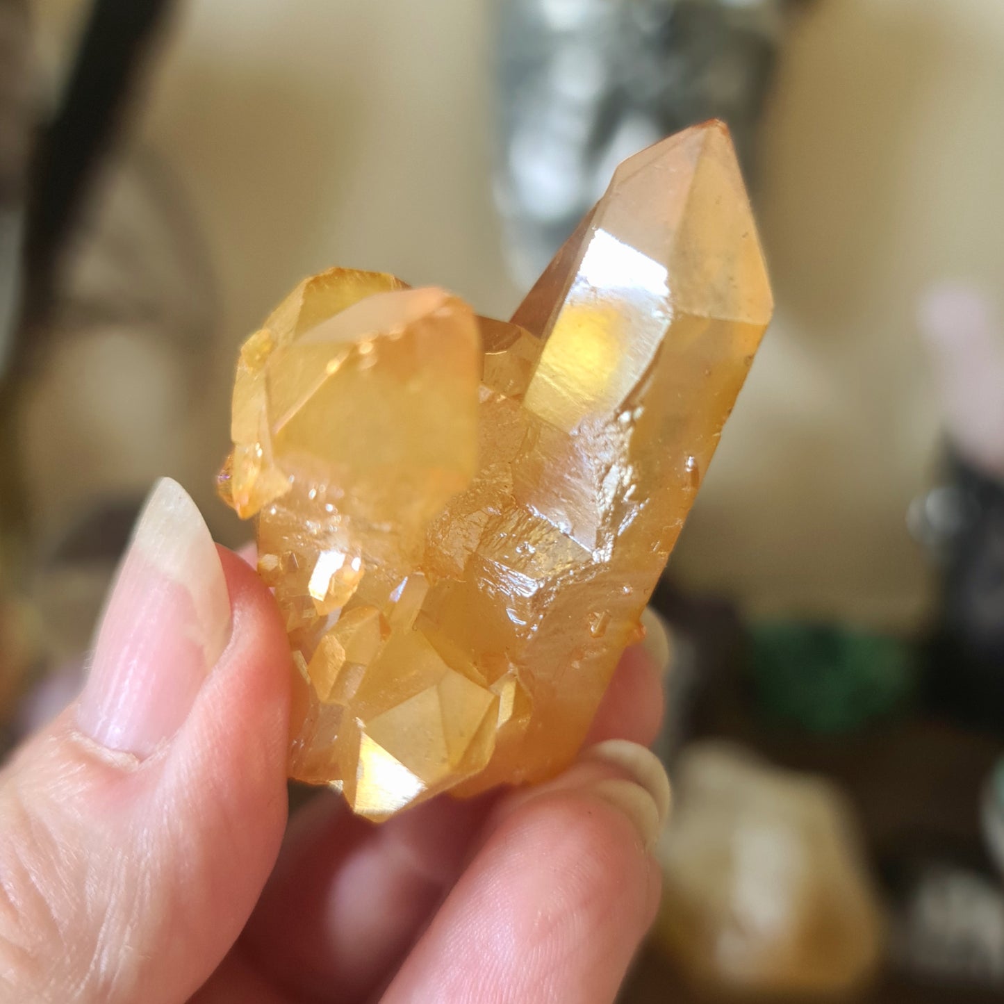 Golden Aura Cluster