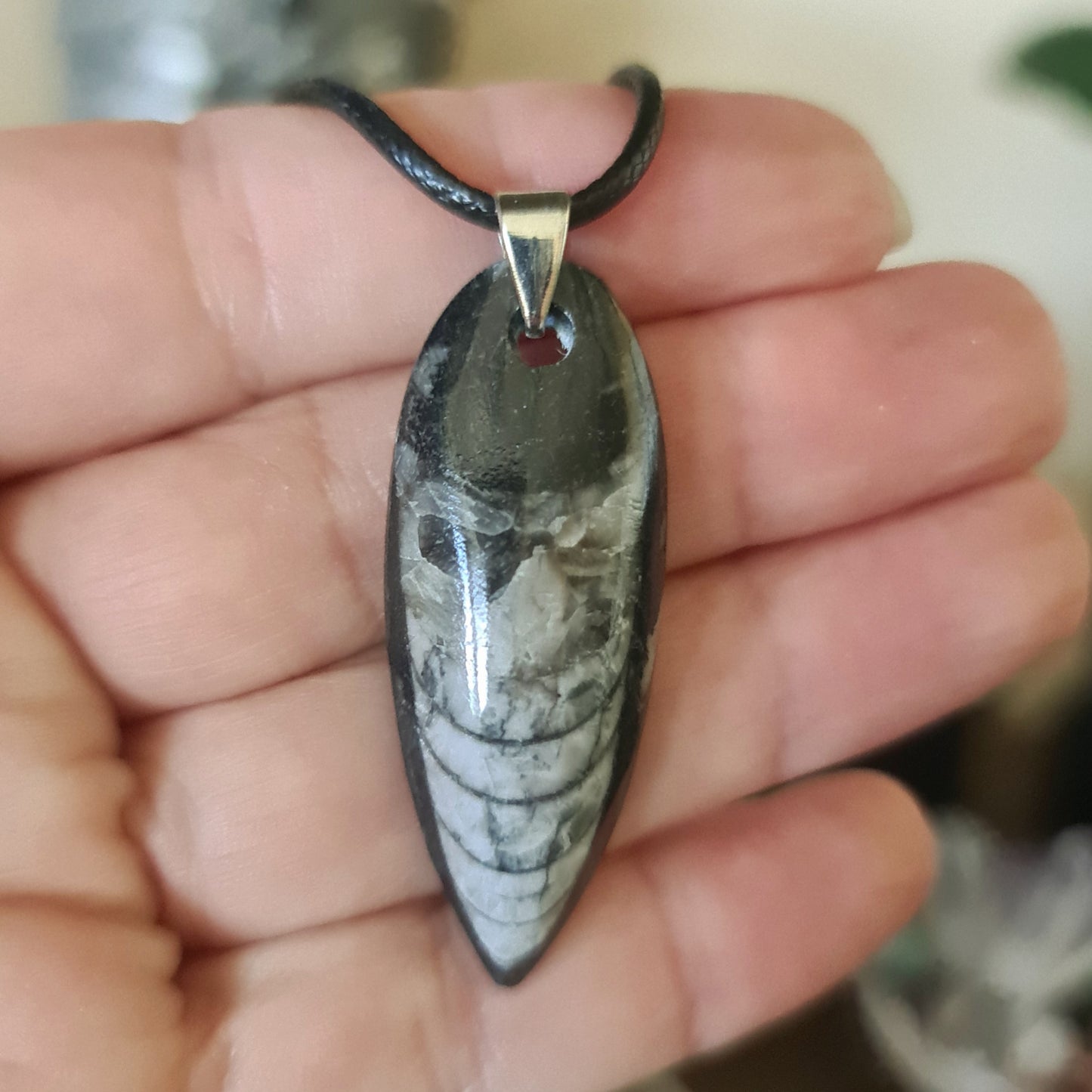 Orthoceras Pendant