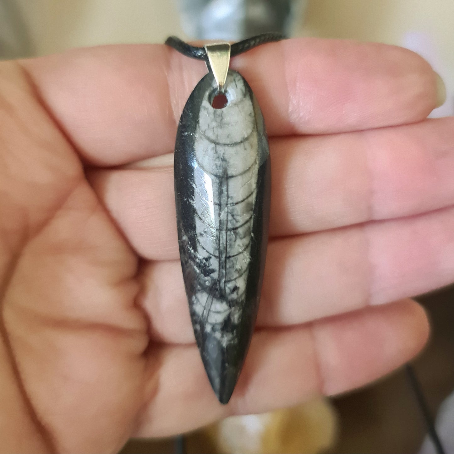 Orthoceras Pendant