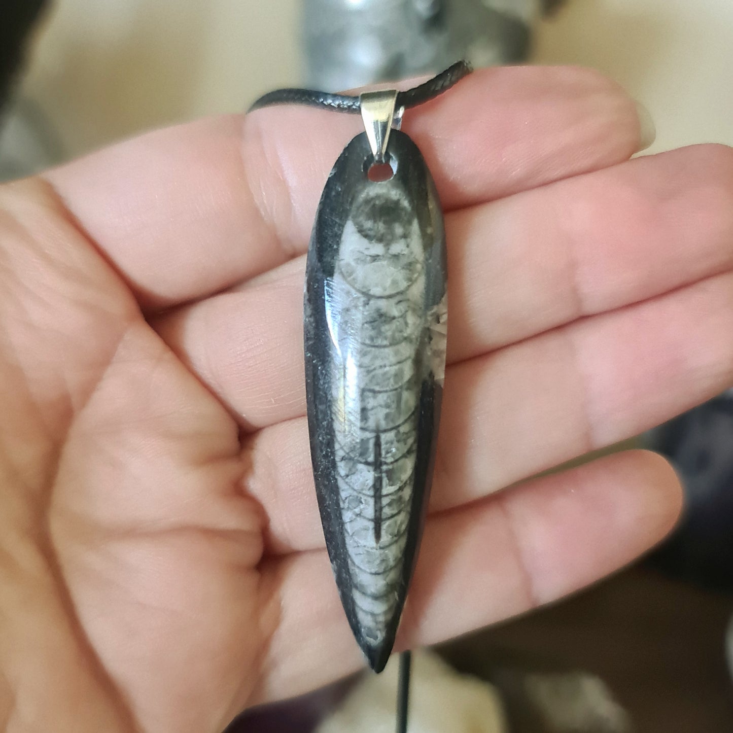 Orthoceras Pendant