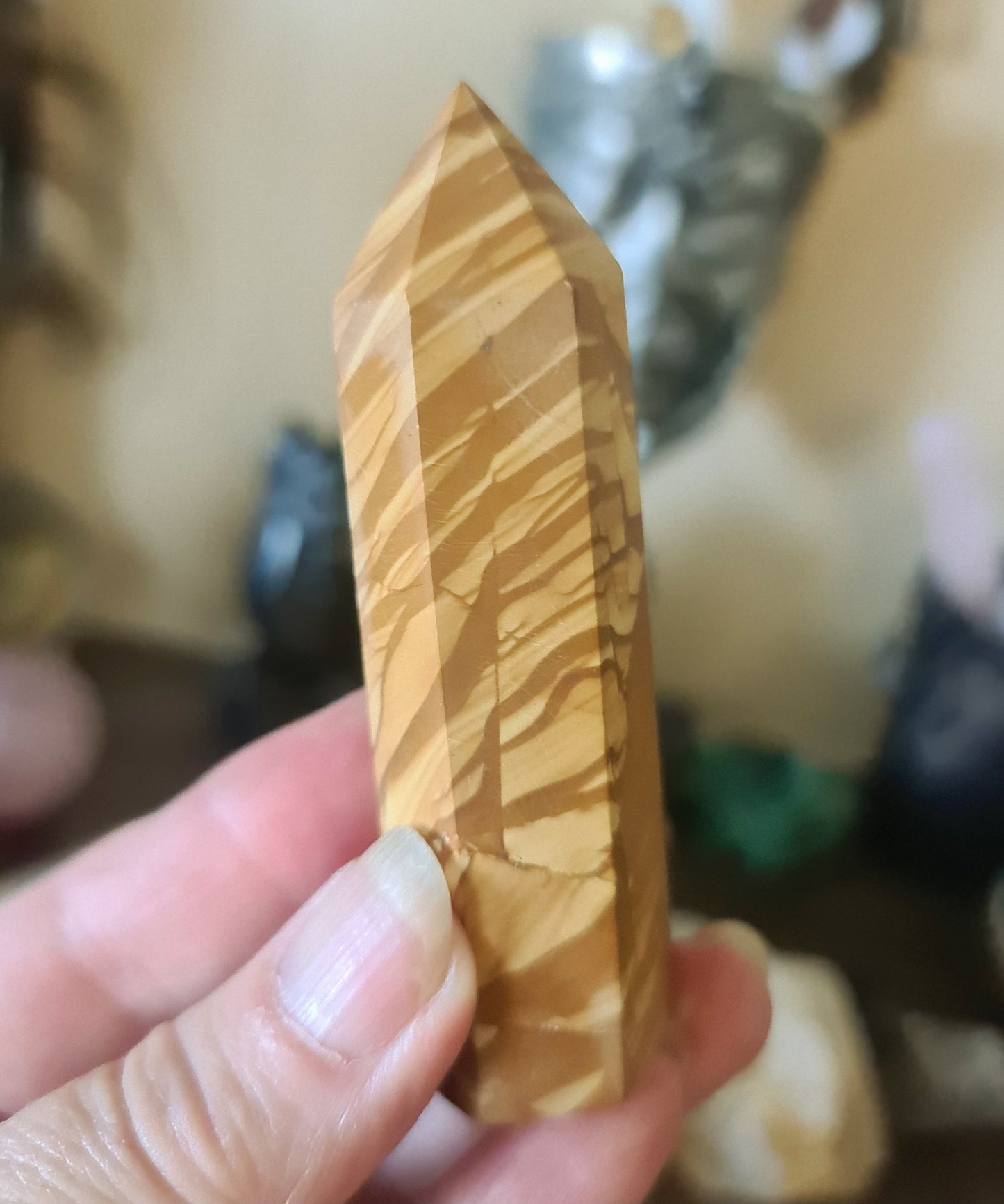 Petrified Wood Point