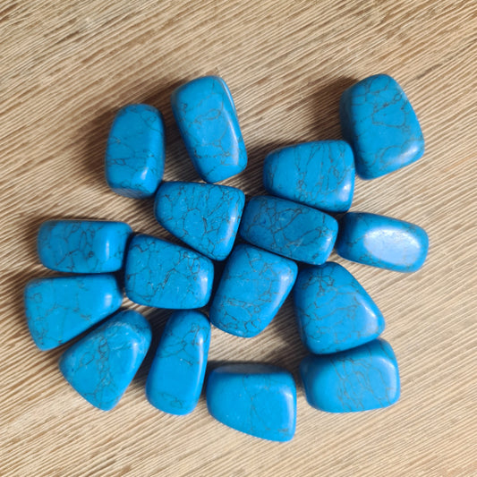 Blue Howlite Tumbles