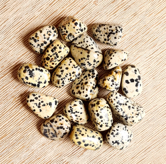 Dalmatian Jasper Tumbles