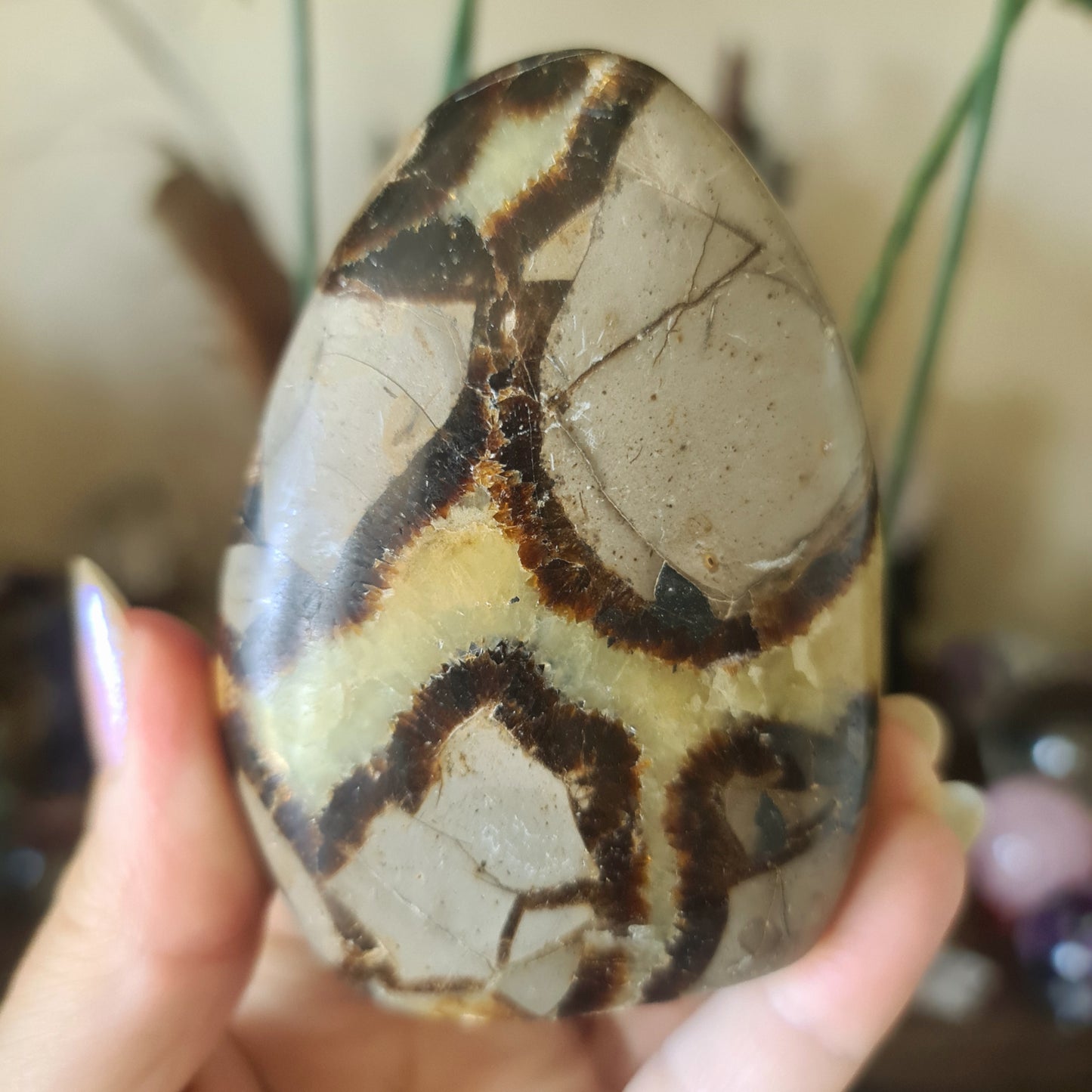 Septarian Freeform