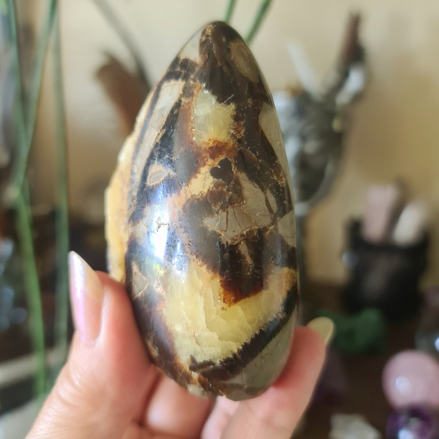 Septarian Freeform