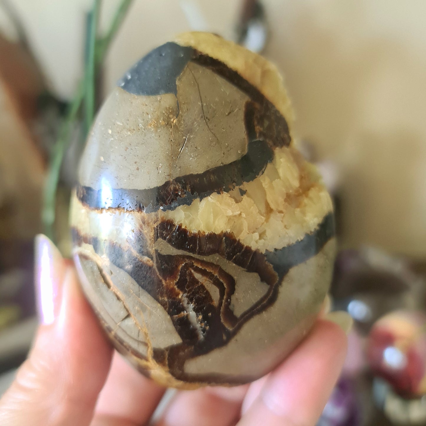 Septarian Freeform
