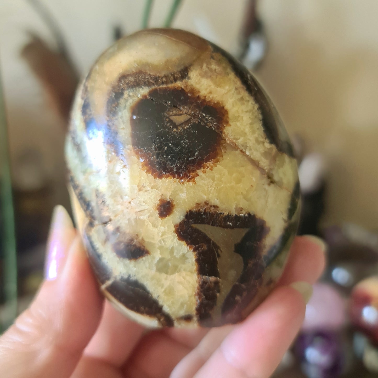 Septarian Freeform