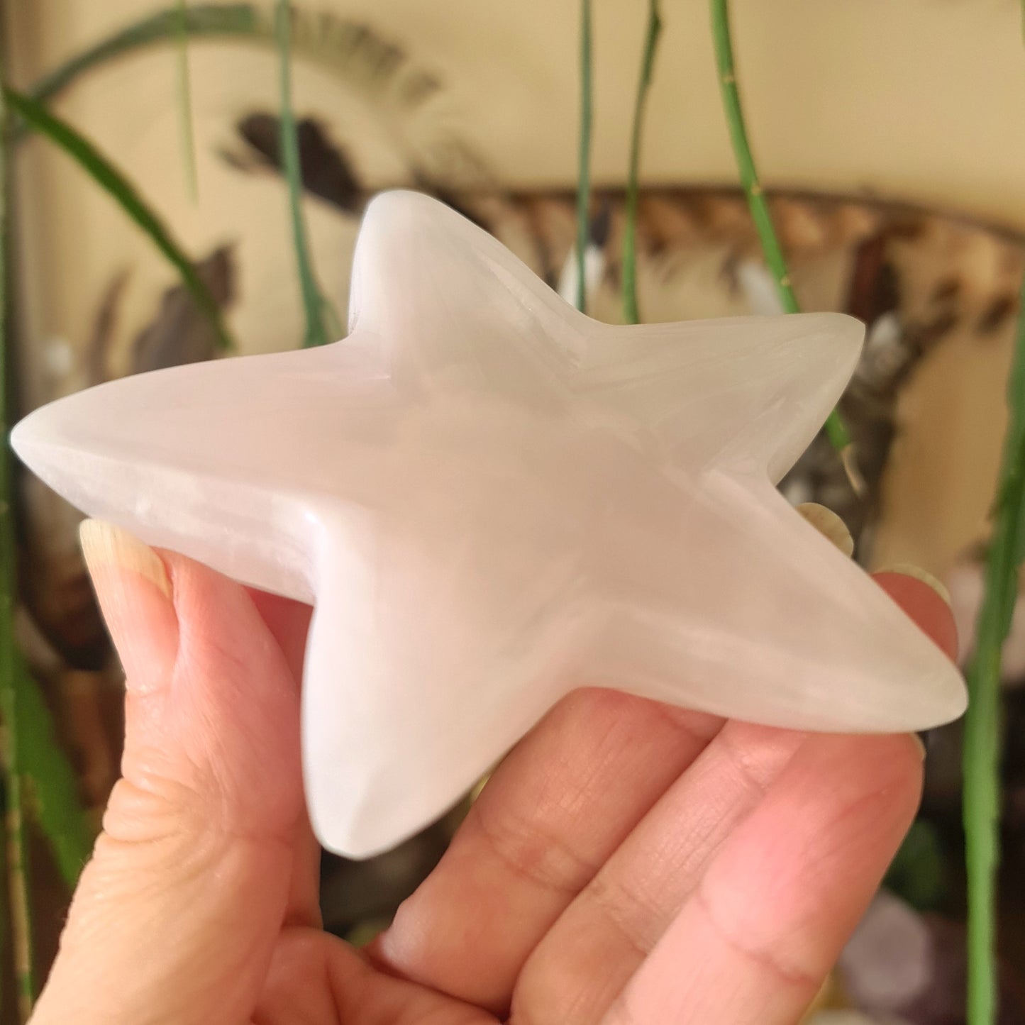 Mangano Calcite Star Plate