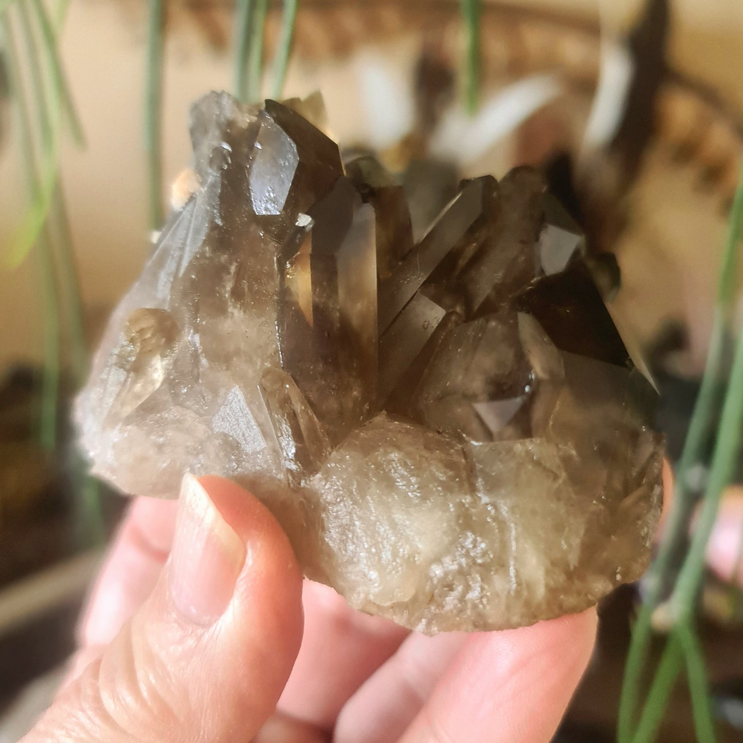 Smoky Quartz Cluster