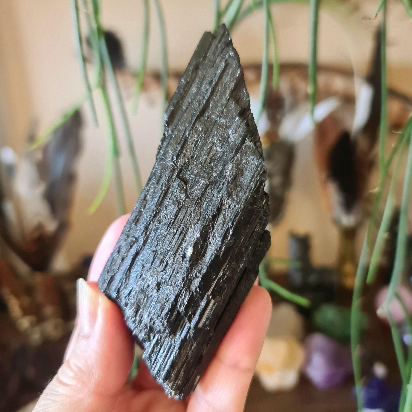 Black Tourmaline - Large
