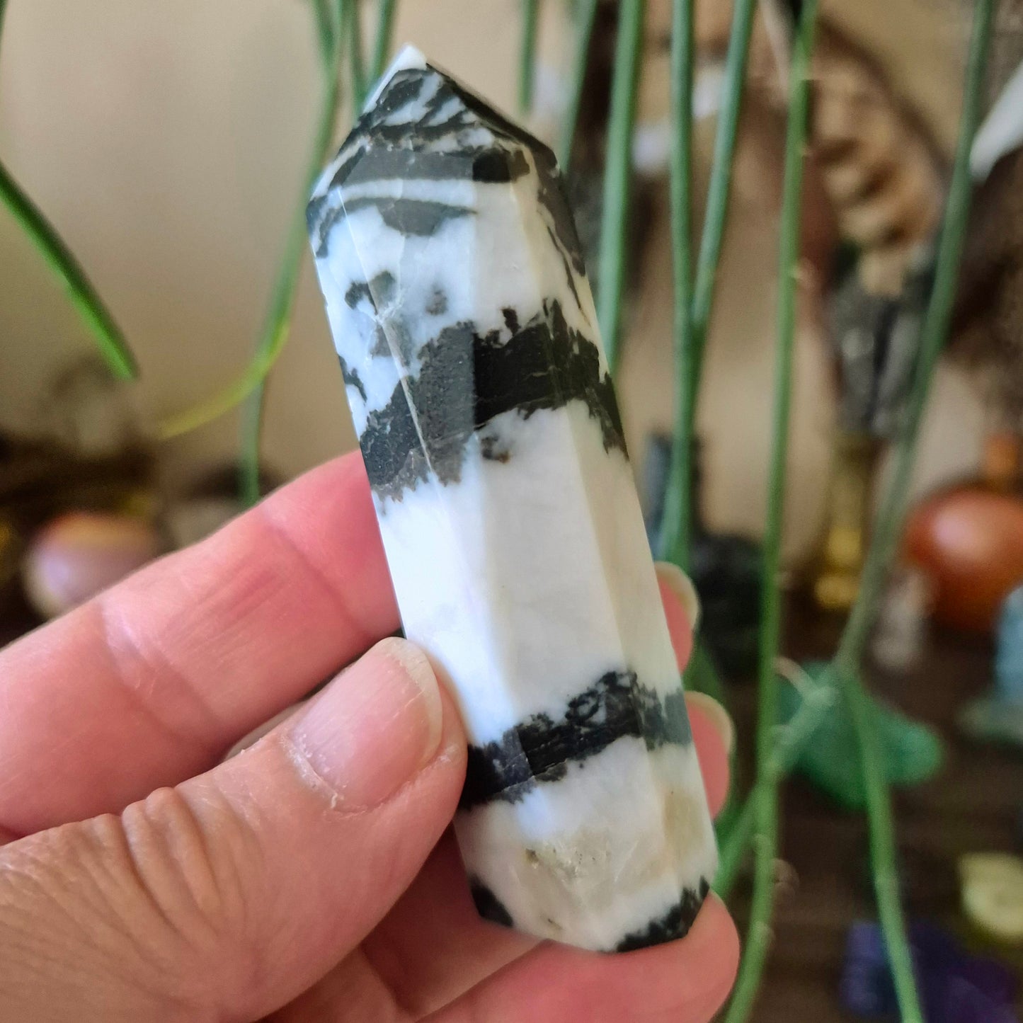 Zebra Jasper Point