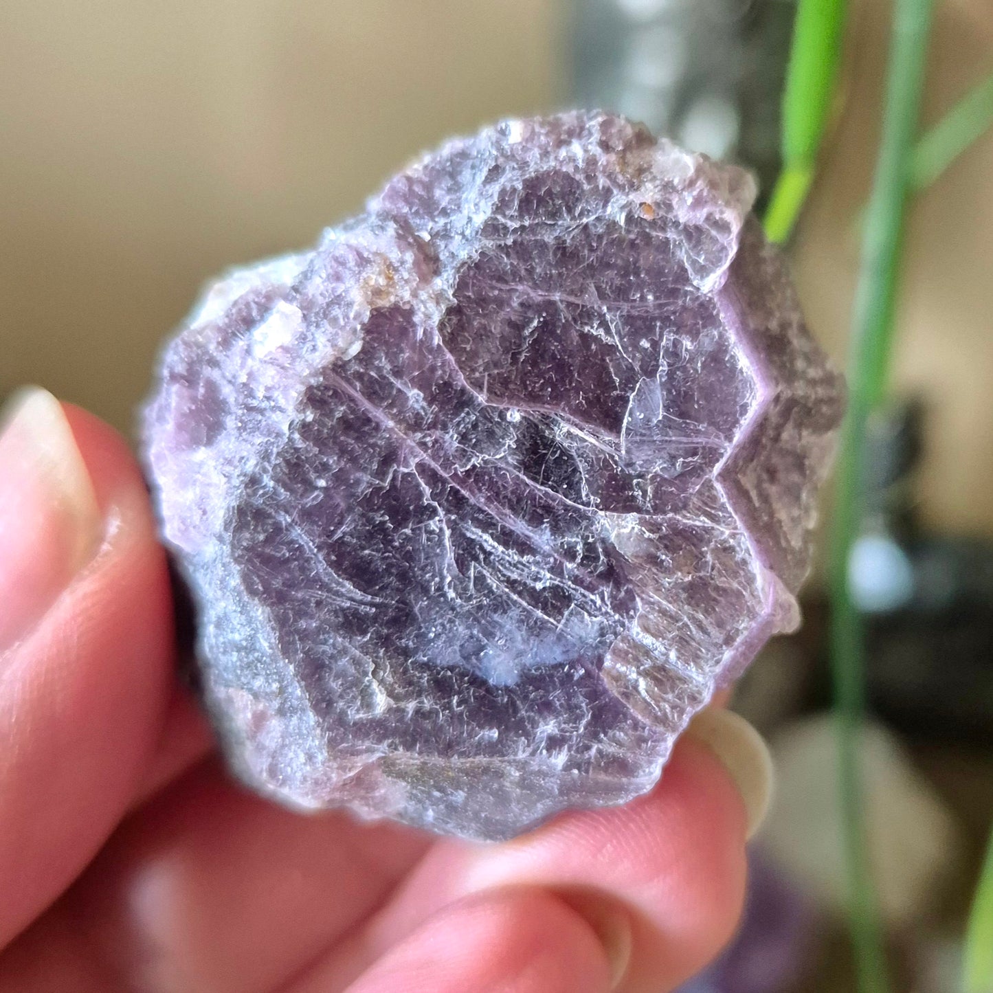 Lepidolite Slice - Raw