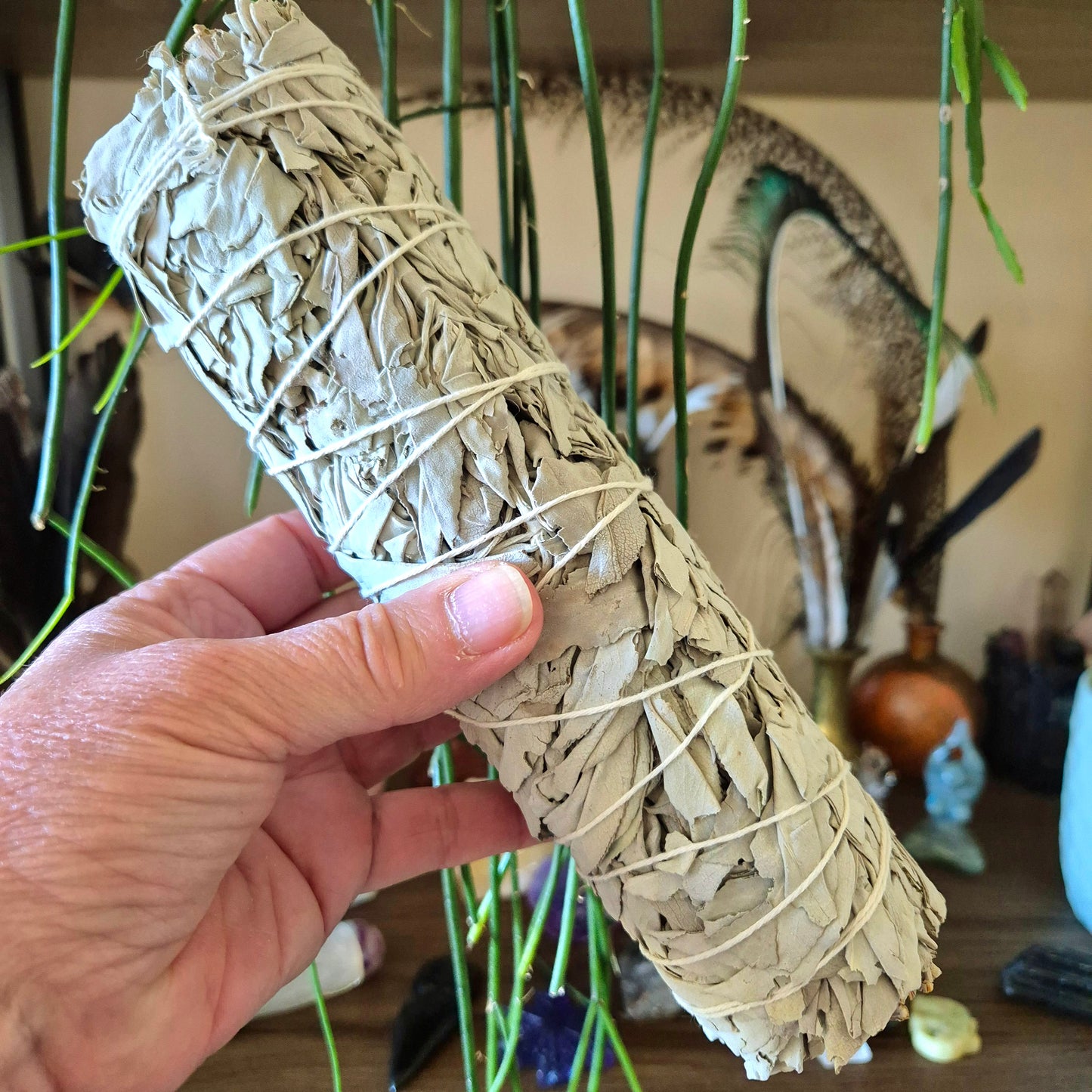White Sage Stick - Large