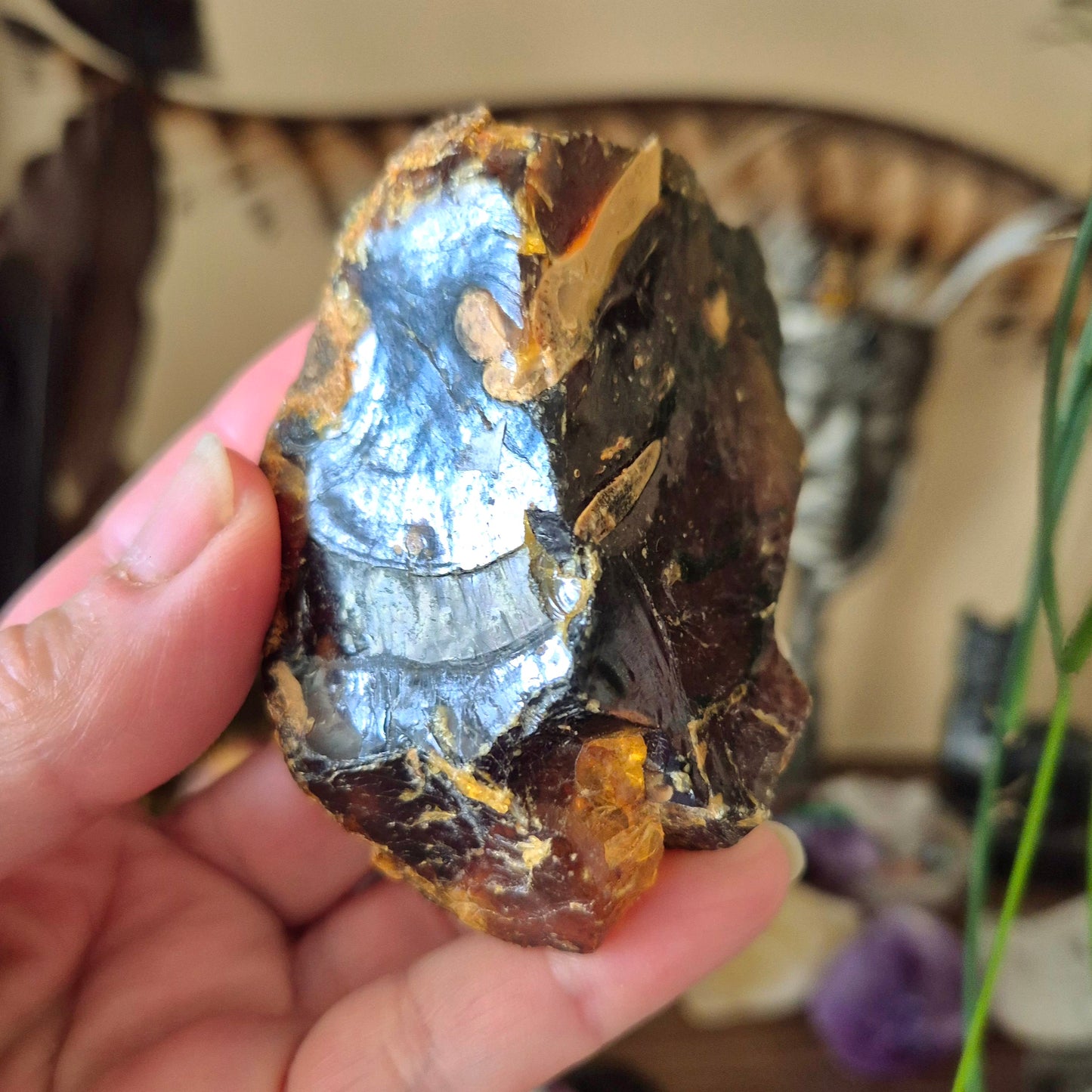 Amber Chunk - Raw