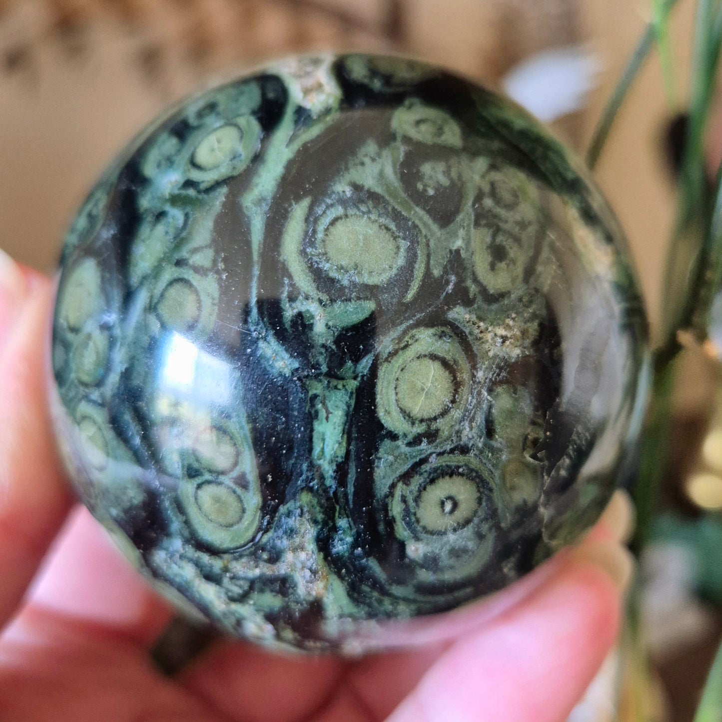 Kambaba Jasper Sphere