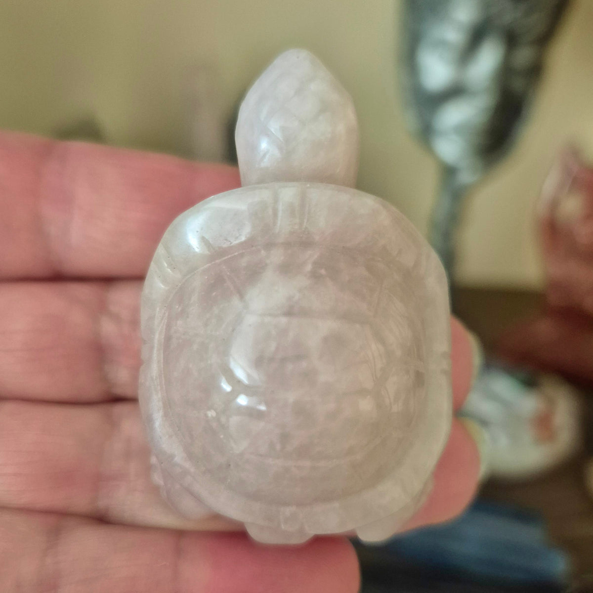 Crystal Turtle