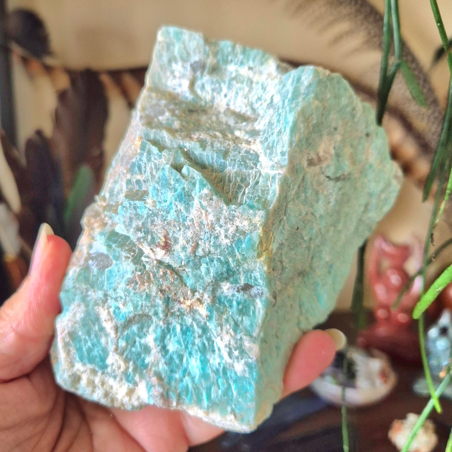 Amazonite Freeform - Raw