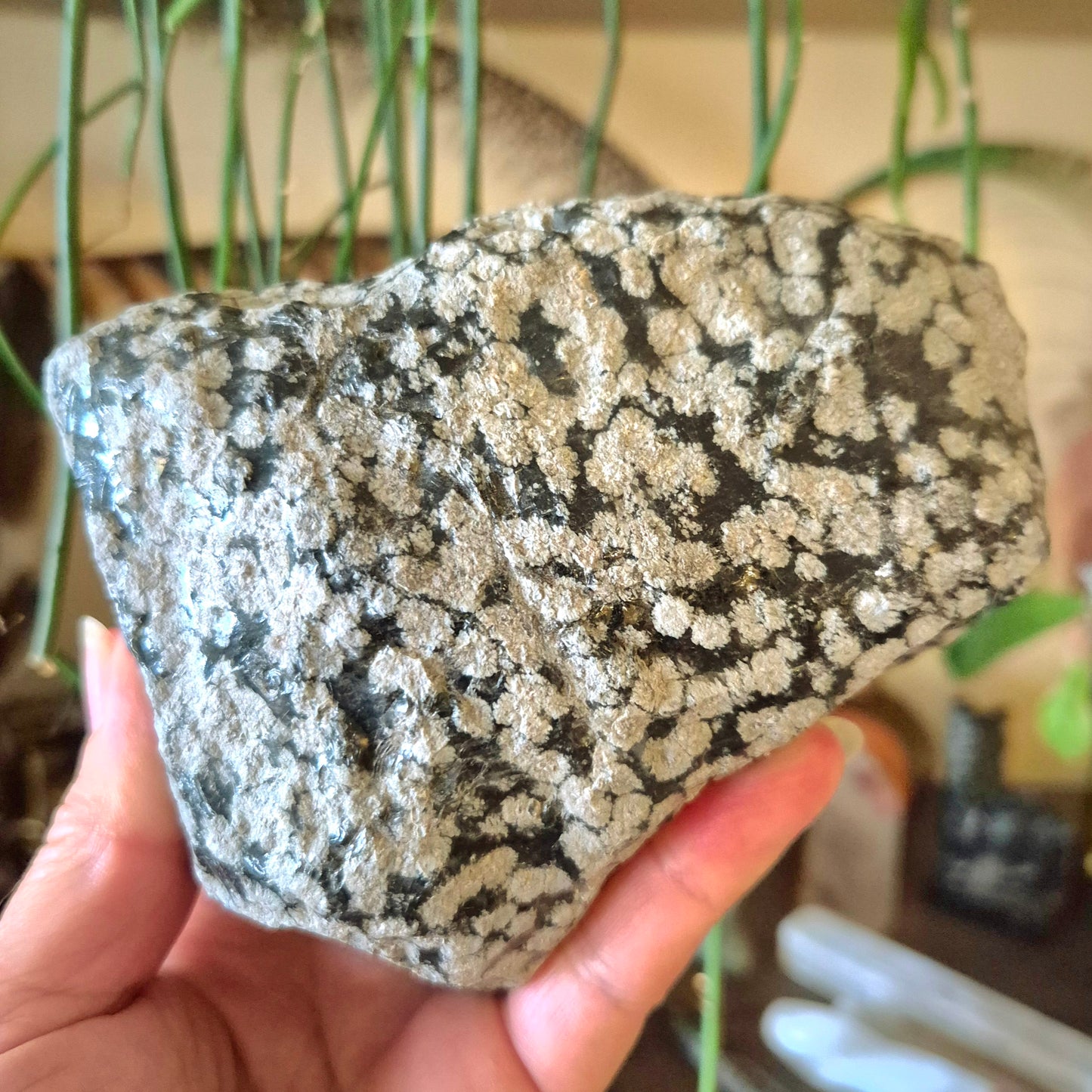 Snowflake Obsidian Freeform - Raw