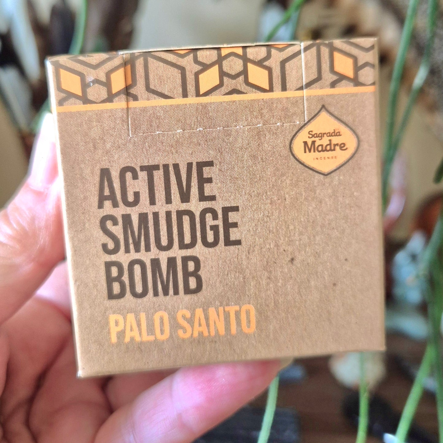 Sage Smudge Bombs