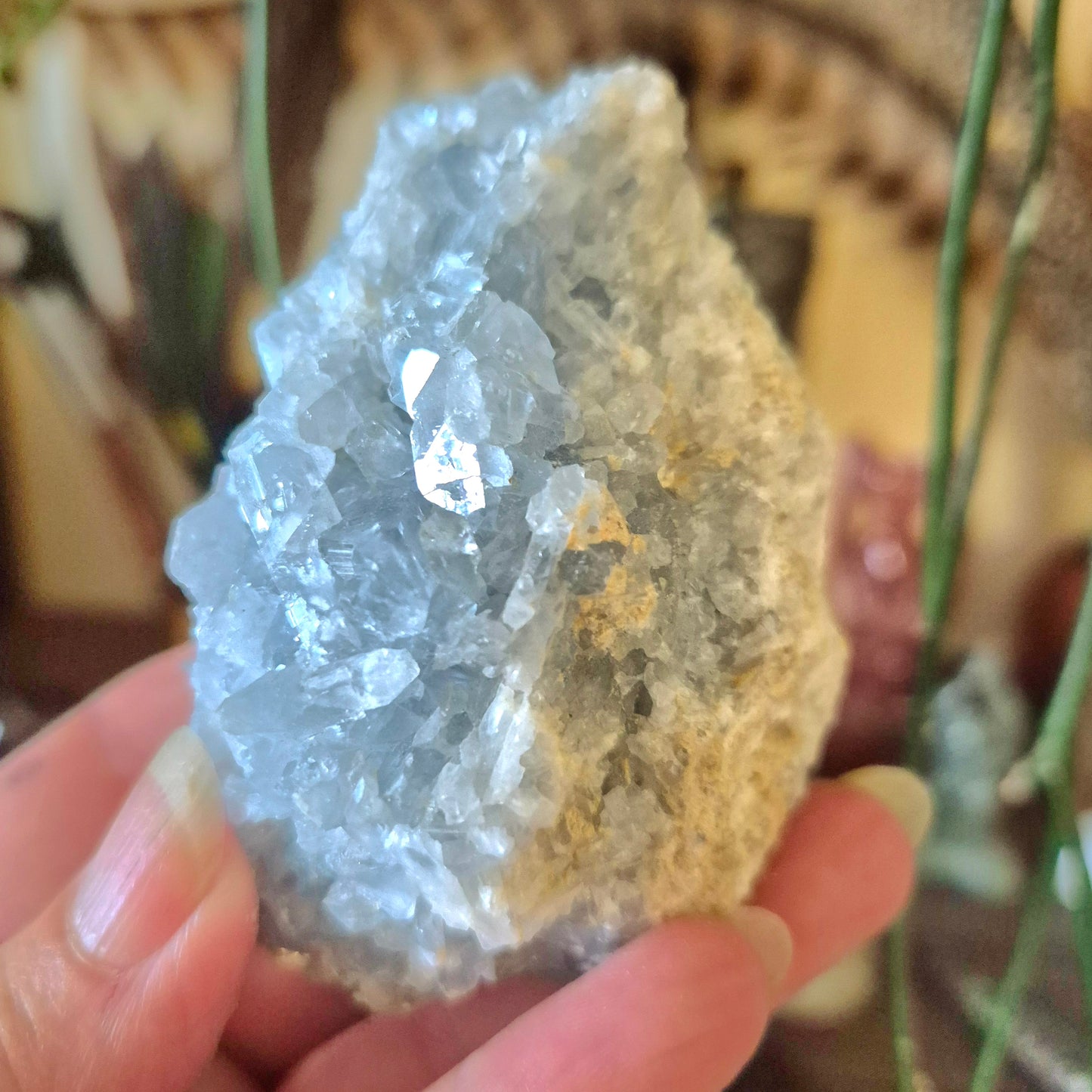 Celestite Cluster