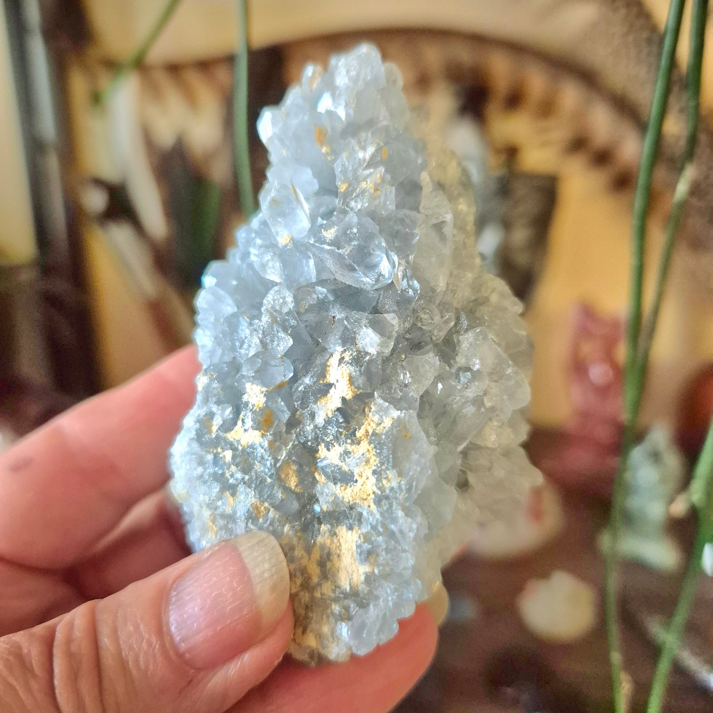 Celestite Cluster