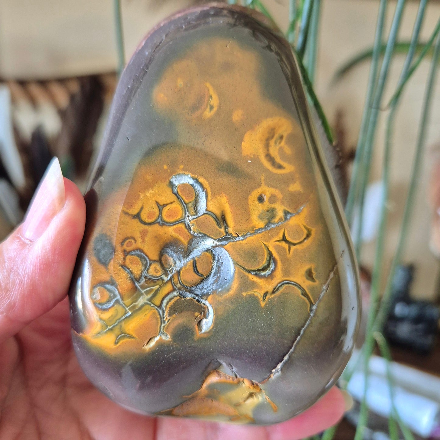 Mookaite Jasper Freeform