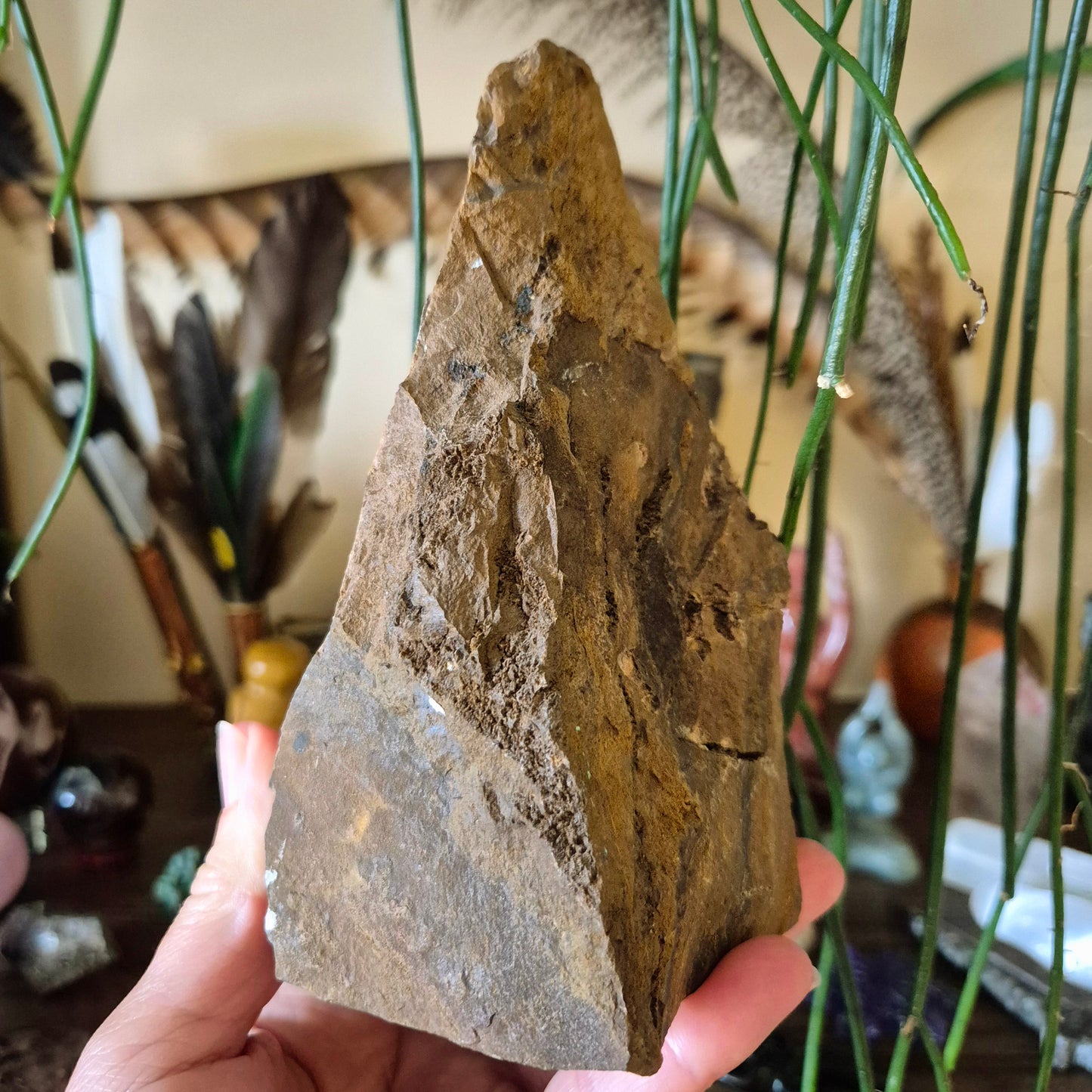 Tiger Eye Freeform Raw