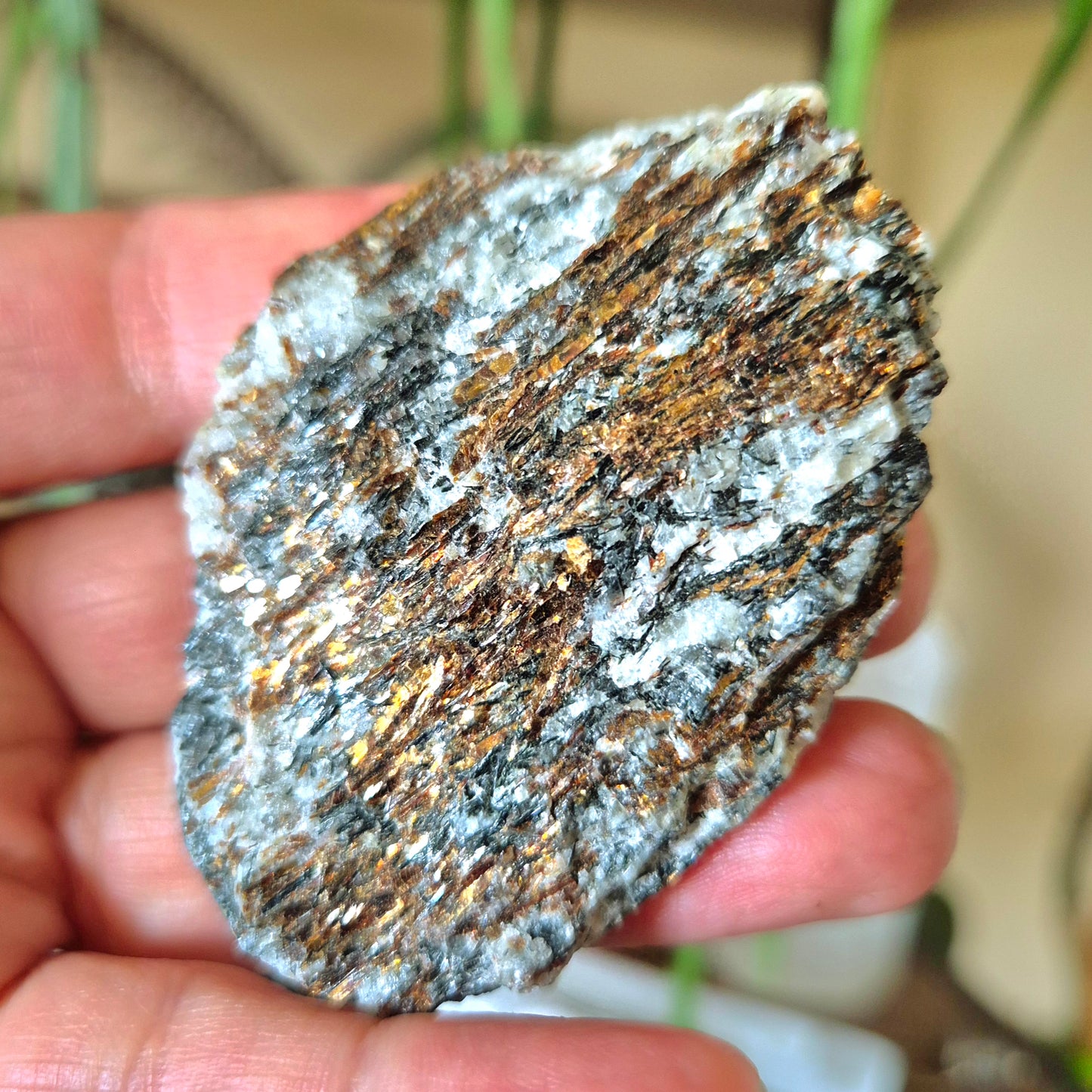 Astrophyllite Palm Raw