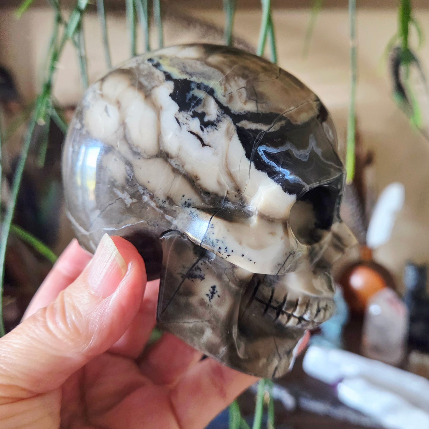 Volcano Agate Skull 700Gm